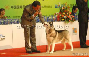 2005杭州首屆國際全犬種評比賽, Blocker 贏得BOB