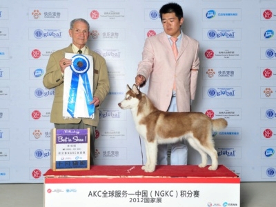 2012年9月北京NGKC來寶小將紅白藍首戰告捷