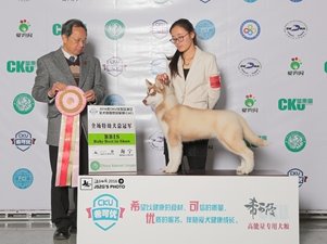 2016��1��CKUِ�º���վ���팚Ȯ�I�����һվ��