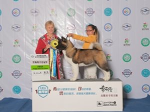 CKUȫȮ�N��܊չ�y��վ���팚Ȯ�I��С���p����~��