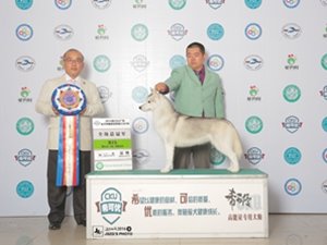 CKUȫȮ�N��܊չ����վ����С���p�������r���t~��